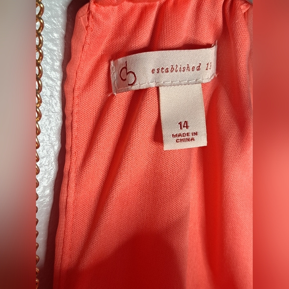 Dress Barn Halter Hardware Neck Pleated Coral Maxi Dress Sz 14 - Picture 5 of 13